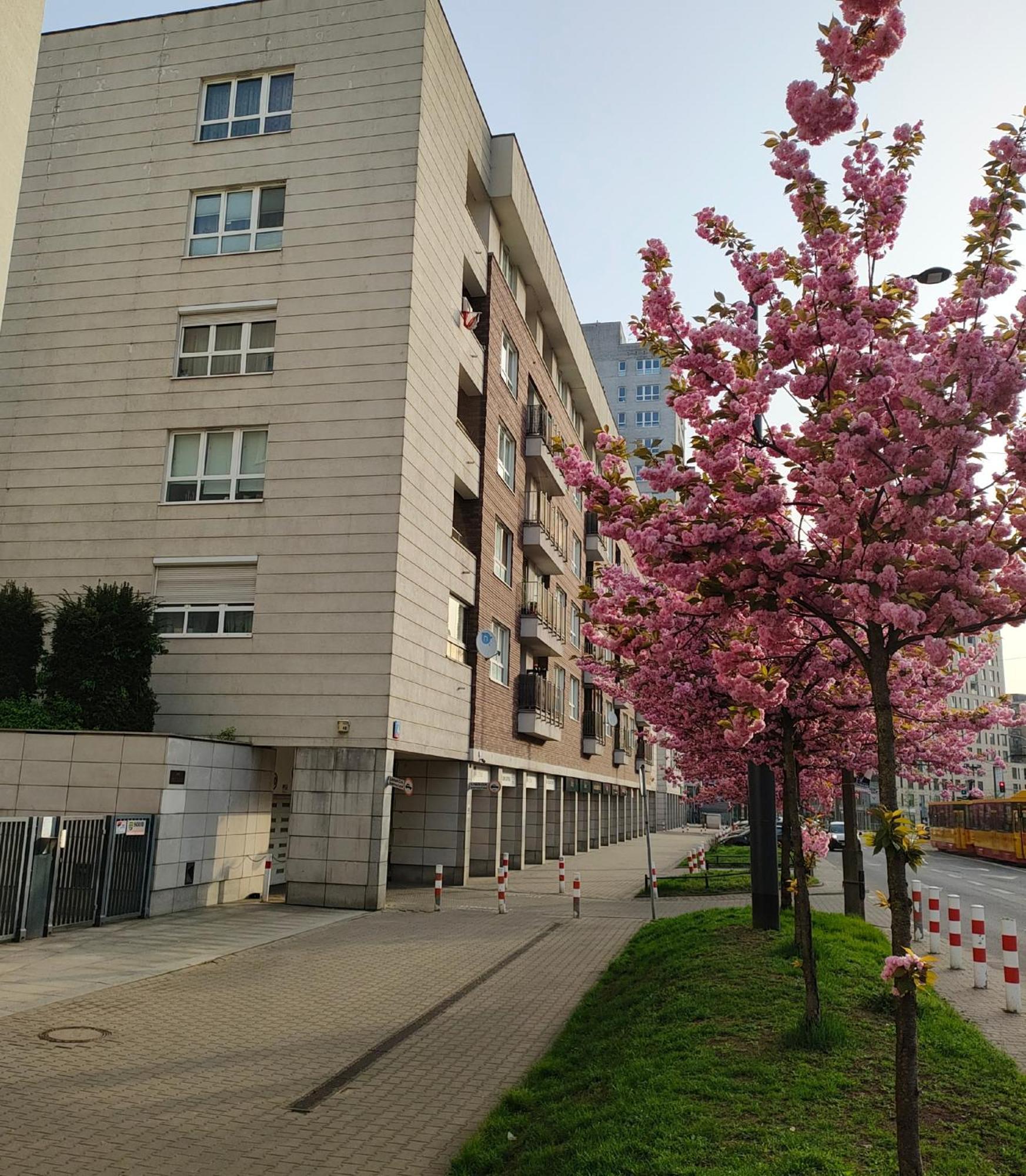 Apartamento Totutotam_02 Varsovia Exterior foto